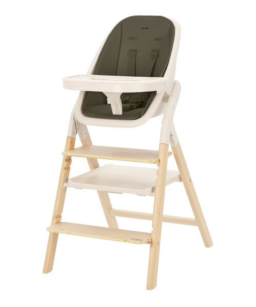 Стульчик для кормления Carrello Ergo (Pine Green)