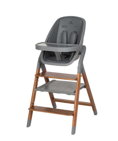 Стульчик для кормления Carrello Ergo (Night grey)