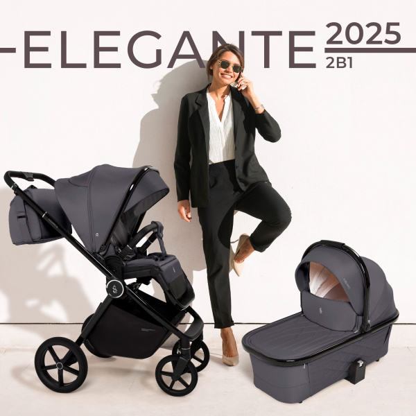 Коляска 2в1 SBL Elegante GL (427283 GL Grey)