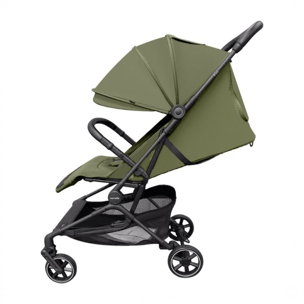 Коляска прогулочная Carrello Evo (Shamrock Green)