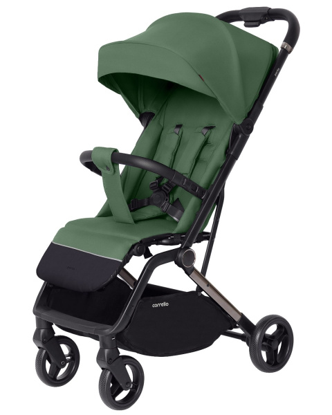 Коляска прогулочная Carrello Porto (Sparkle Green)