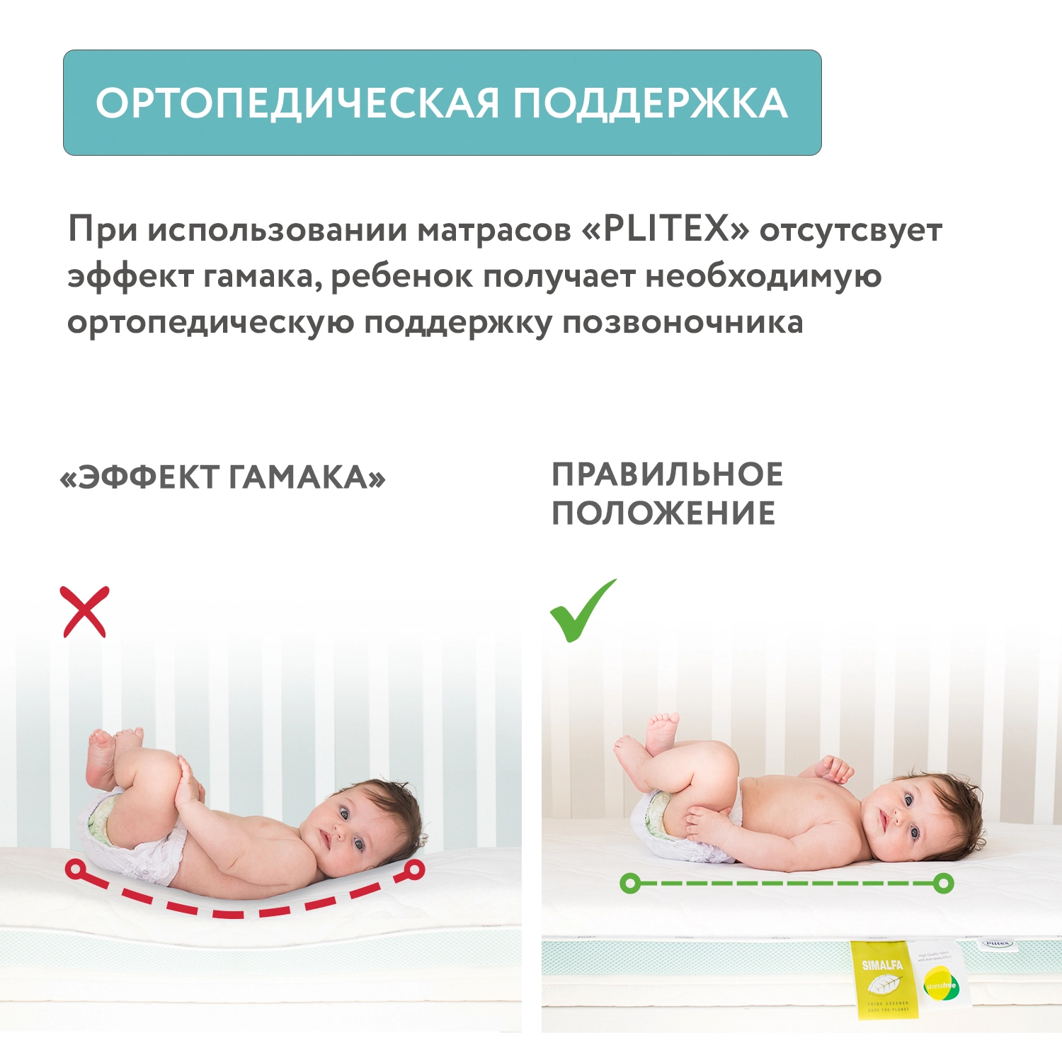 Матрац Plitex EcoFlex Cotton 119х60х12см Матрац Plitex EcoFlex Cotton 119х60х12см